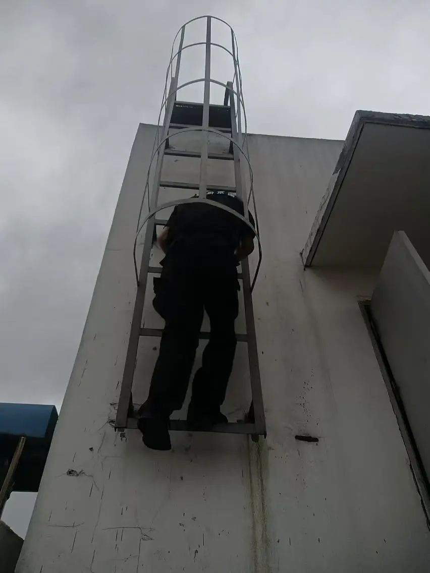 C:/Users/BA/Desktop/風(fēng)雨過(guò)后南京保安迅速行動(dòng)，恢復(fù)安“寧”面貌/3.jpg3