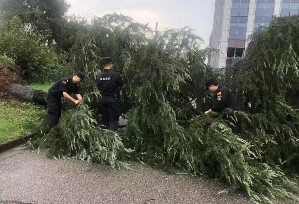 C:/Users/BA/Desktop/風(fēng)雨過(guò)后南京保安迅速行動(dòng)，恢復(fù)安“寧”面貌/1.jpg1